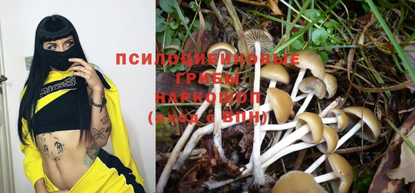 спиды Арсеньев